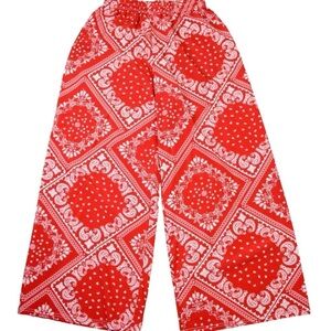 Red‎ Bandana Print Wide Leg Crop Pull On Pants, Medium